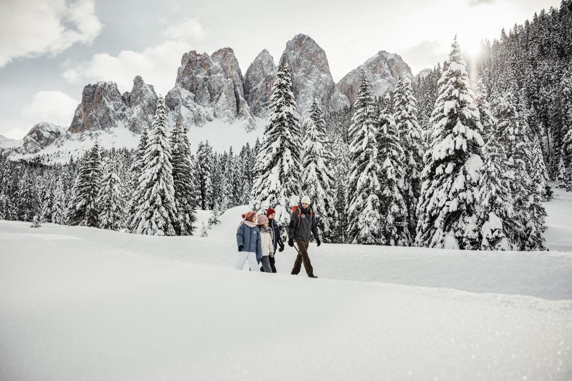 Ciasa Iachin - Dolomites Dream Retreat Apartment San Martino in Badia Exterior photo